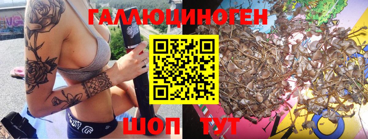 ГАШИШ  MDMA  МЕТ  Меф   Купить закладку  Вход с VPN  Котельники  Бошки Шишки  КОКАИН 